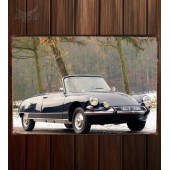 Металлическая табличка Citroen DS 19 Cabriolet 173